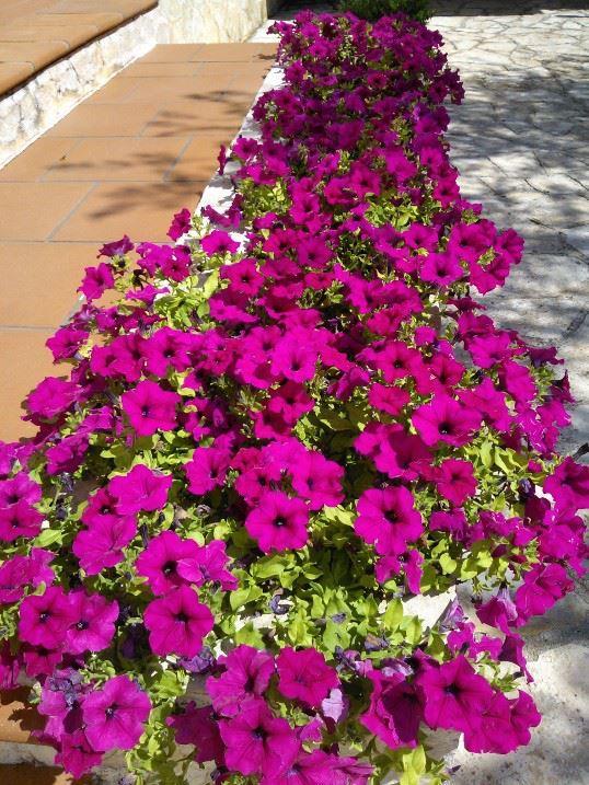 Albachiara Bed & Breakfast Монополи Экстерьер фото